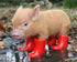 Little Pig in Red Boots