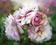 Miracle of a Rose Paint by Diamonds