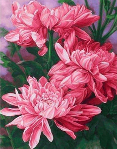 Mystical Peonies Paint by Diamonds