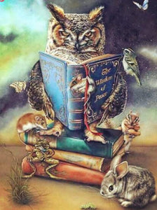 Owl Reading Book Paint by Diamonds