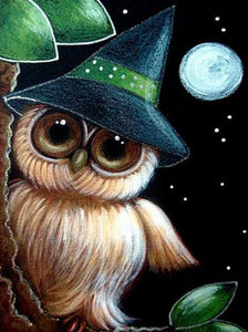 Owl Wearing Hat at Night Diamond Painting