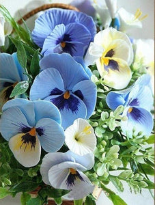 Pansy Flowers Paint by Diamonds