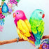 Parrots Pair Painting Kit