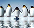 Penguins Diamond Painting