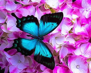 Pink Flowers & Blue Butterfly Paint by Diamonds