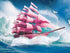 Pink Sailboat in the Ocean