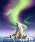 Polar Bear Northern Lights Fantasy