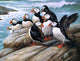 Puffins Painting Kit