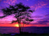 Purple Sunset in Hawaii