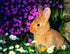 Rabbit Sitting in Flowers