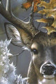 Reindeer Diamond Painting Kit