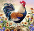 Rooster Diamond Painting Kit