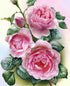 Rose Beauty - Paint by Diamonds