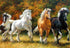 Running Horses Diamond Painting