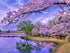 Sakura Trees Paint by Diamonds