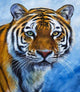 Serene Tiger Paint by Diamonds