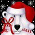Snow Bear Christmas Card