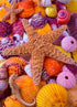 Star Fish Among Sea Shells