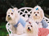 Super Cute Maltese Puppies Diamond Painting