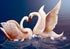Swans Couple - Paint by Diamonds