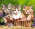 Three Lovely Kittens - Paint with Diamonds