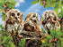 Three Owls on the Tree Diamond Painting
