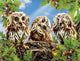 Three Owls on the Tree Paint by Diamonds