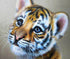 Tiger Cub Painting Kit