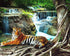 Tiger Resting by Waterfall