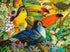 Toucans Sitting in Flowers
