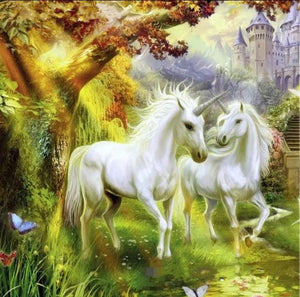 Unicorns Pair Paint by Diamonds
