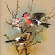Birds DIY Diamond Painting Kit