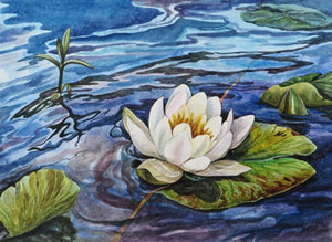 Water Lilly Paint by Diamonds