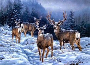 Winter Deer Paint by Diamonds
