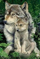 Wolf Paint by Diamonds