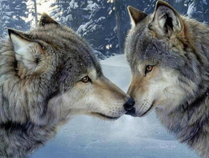 Wolves Pair in Snow Paint by Diamonds
