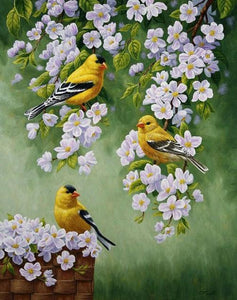 Yellow Birds & White Flowers Diamond Painting