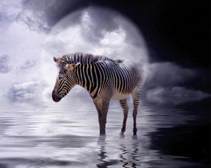 Zebra Standing in the Water Diamond Painting