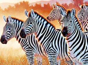 Zebras Diamond Painting