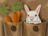 Rabbit and Carrots DIY Diamond Painting