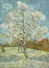 Pink Peach Tree - Vincent Van Gogh