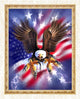 Eagle with Open Claws Diamond Painting