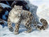 Leopard Collection DIY Diamond Paintings