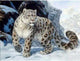 Leopards DIY Diamond Paintings