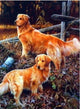 Dogs 5D Diamond Paintings