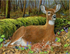 Deer Collection DIY Diamond Paintings