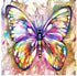 Stunning Butterfly DIY Diamond Painting
