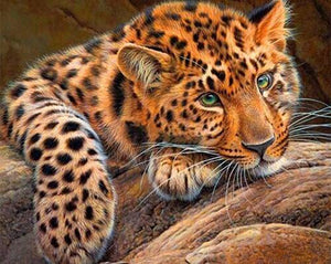 Jaguar Painting Kit